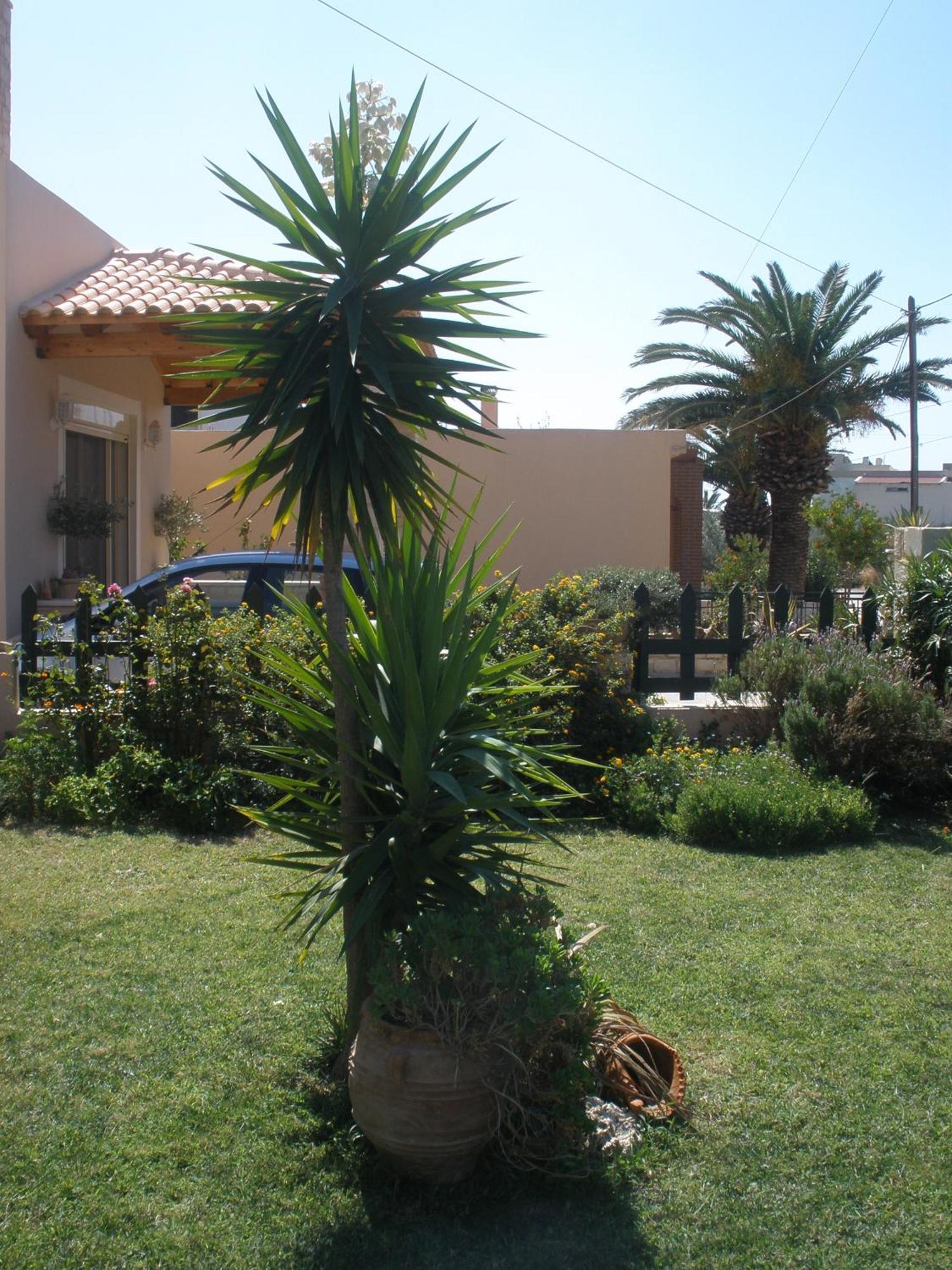 Livadi Apartments Plakiás Exterior foto