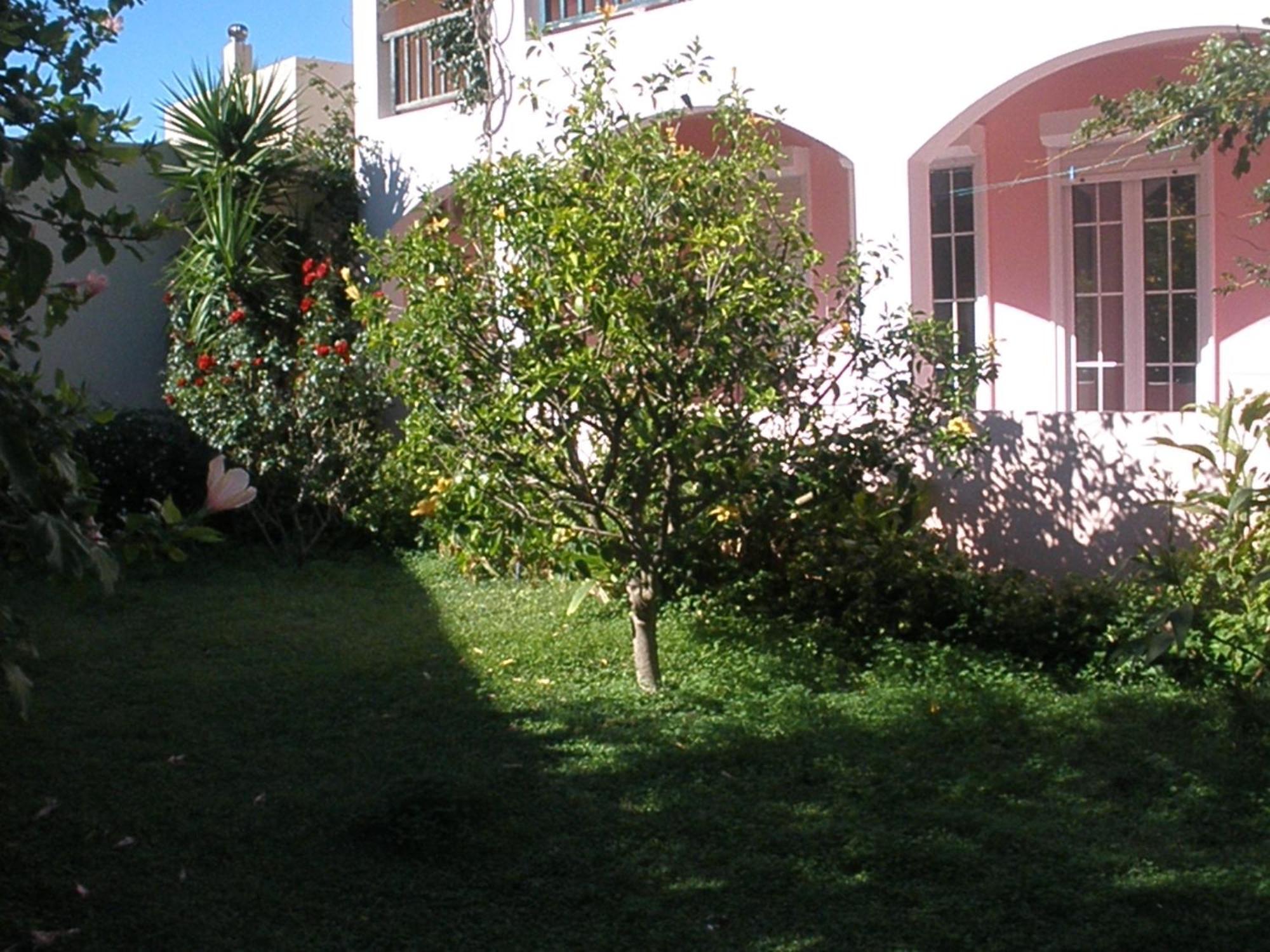 Livadi Apartments Plakiás Exterior foto